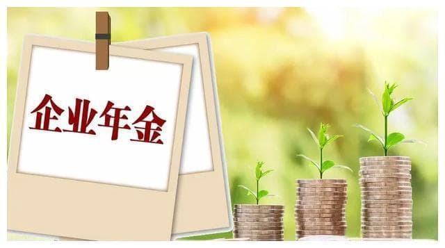 职业年金与企业年金的比较与分析