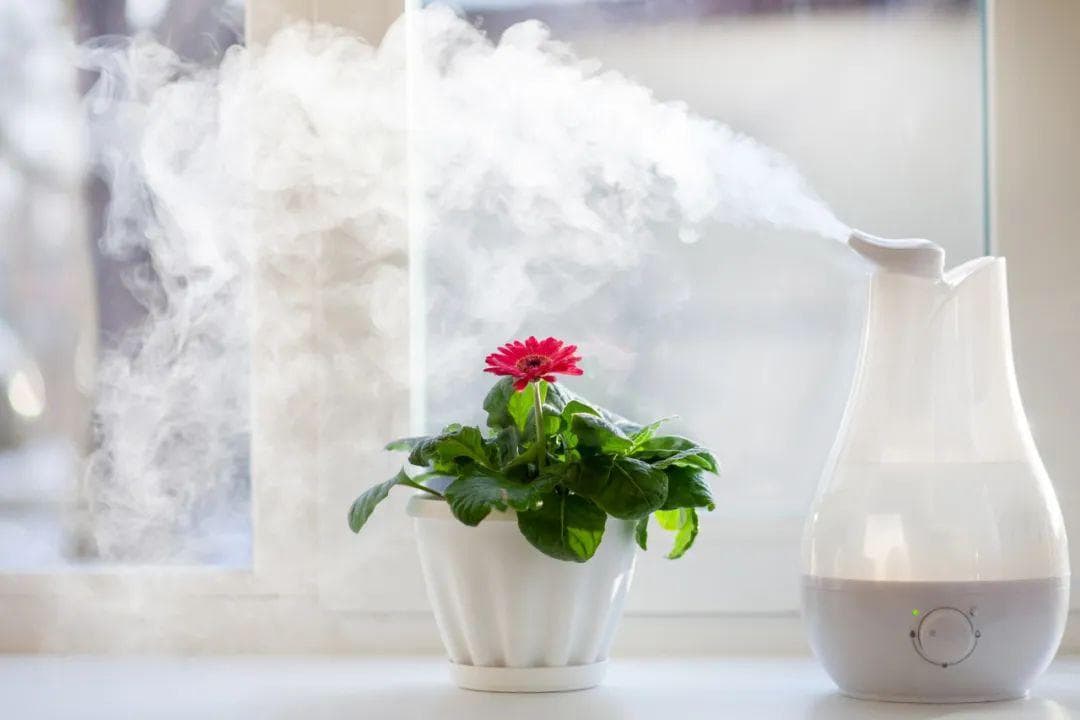 干燥季救命指南：加湿器的正确打开方式，不允许你不知道→