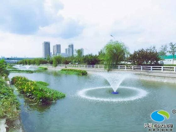 浅谈水体生态修复技术的应用