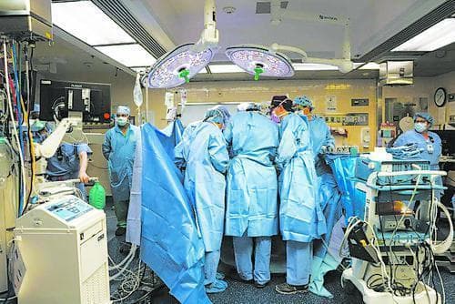动物器官移植人体，究竟难在哪儿|今日视点