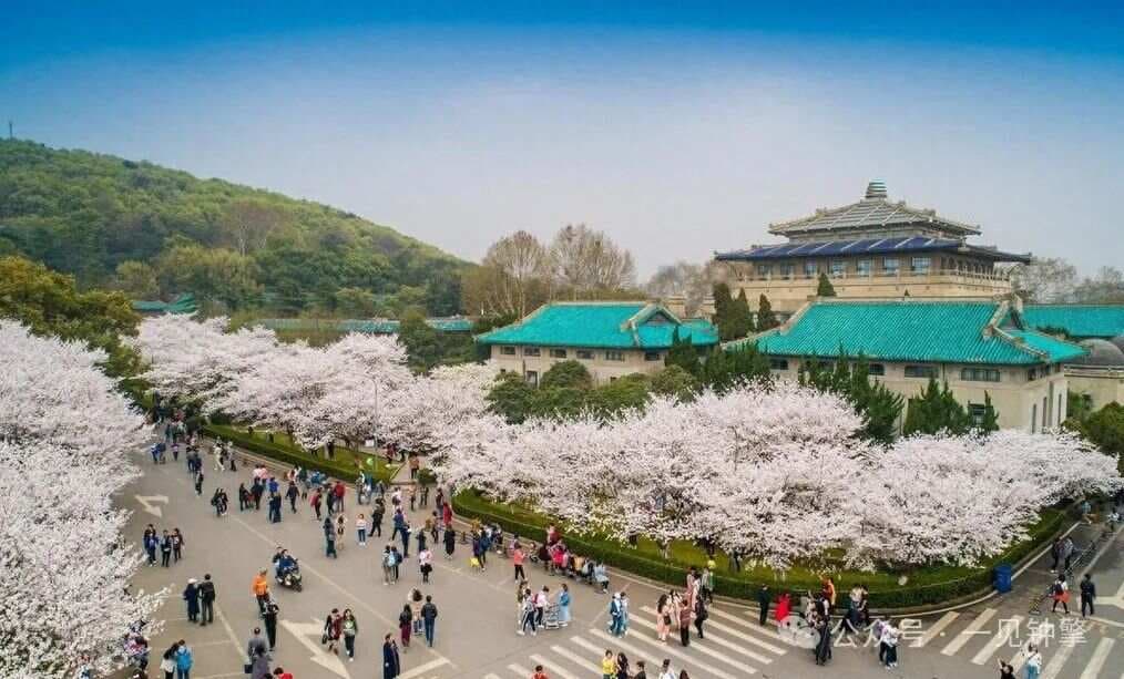 这座城市太强了！7所军校，83所高校，大学生上百万，学生数量上隐藏的大佬！