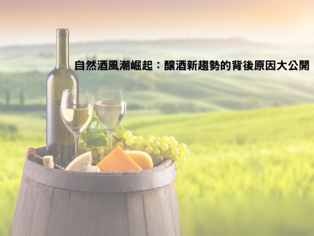 自然酒新手指南：常见四大问题解答