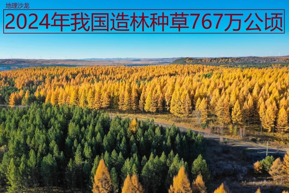 2024年我国造林种草767万公顷，“三北防护林”工程是主要贡献者