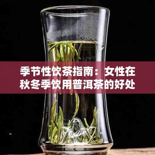 季节性饮茶指南：女性在秋冬季饮用普洱茶的好处与注意事项