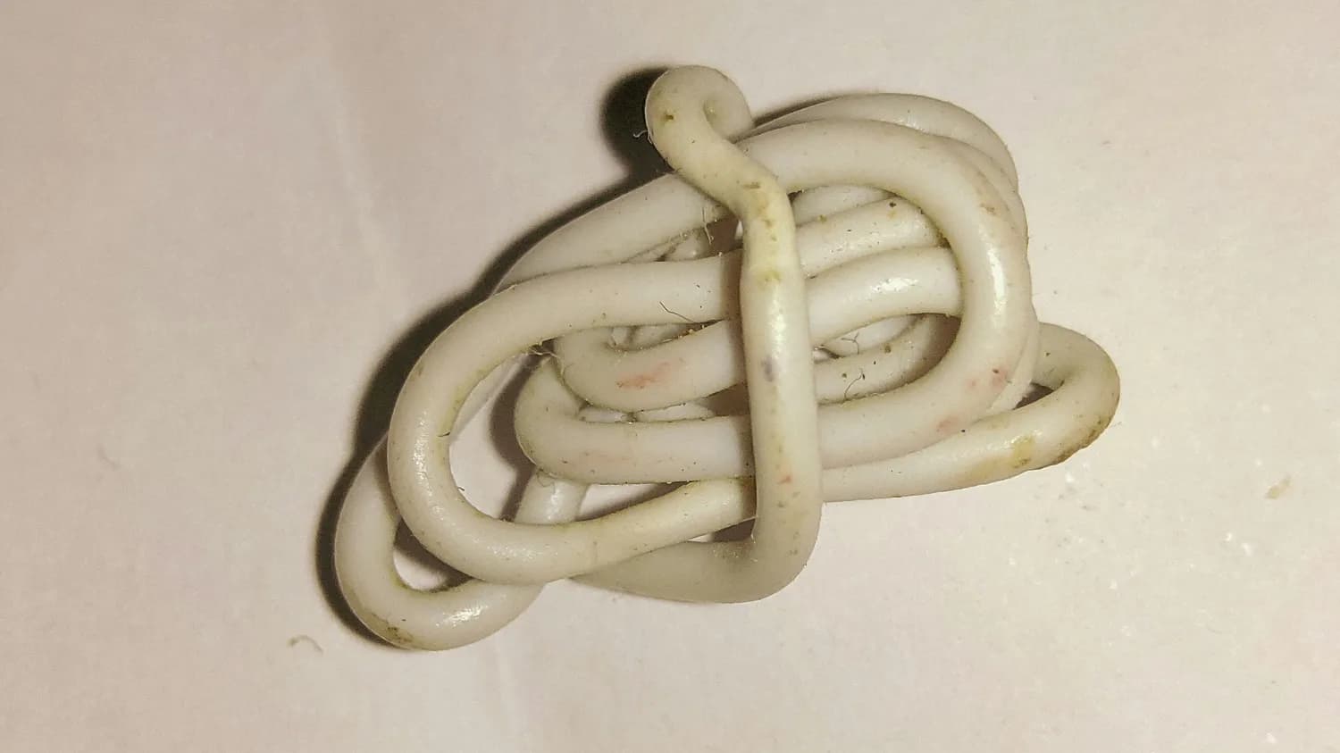 故宫博物院蛇年特展：揭秘蛇的文化密码