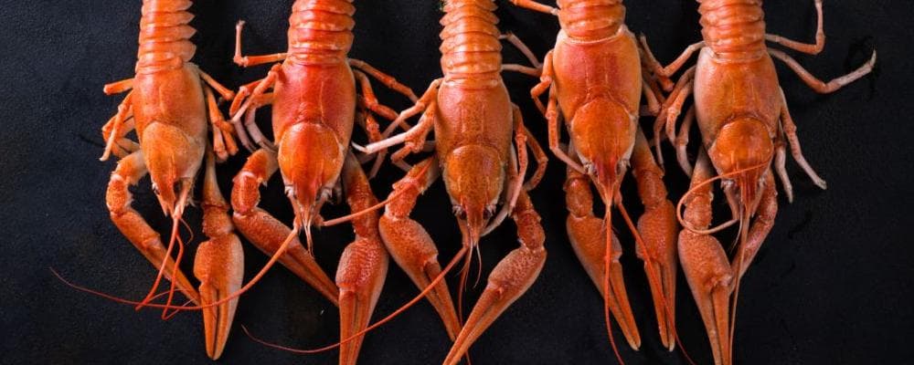 小龙虾真的很脏吗？处理小龙虾有讲究，牢记“3个步骤”！