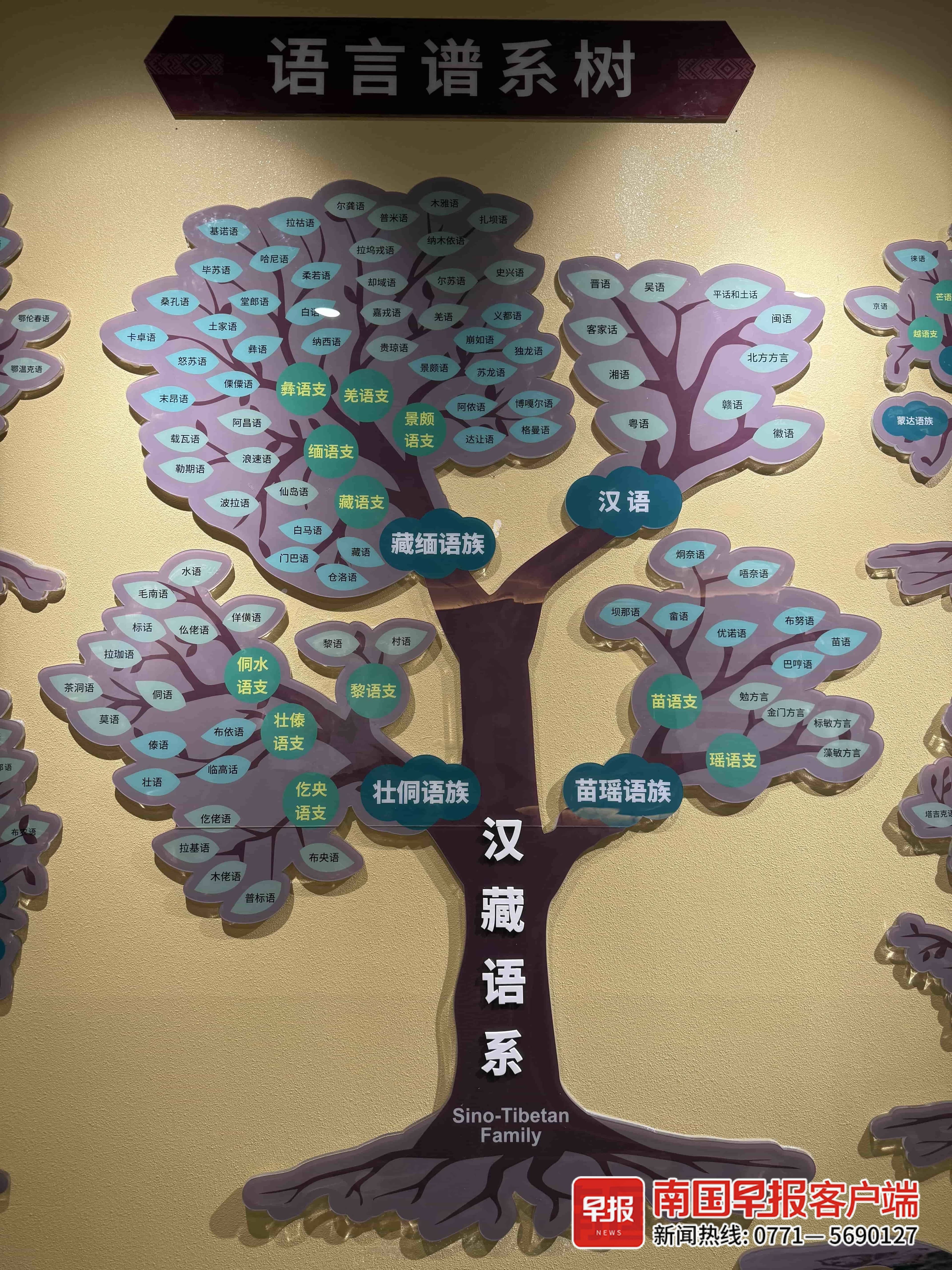 壮语粤语毛南语，平话官话客家话……为什么没有“广西话”？