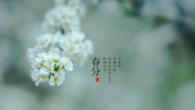 三首描写春分美好的诗词表达祝福