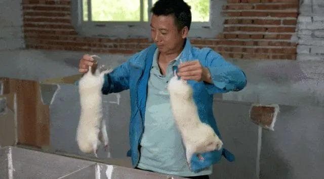 李子柒携传统文化视频复出，700万赞见证顶流影响力