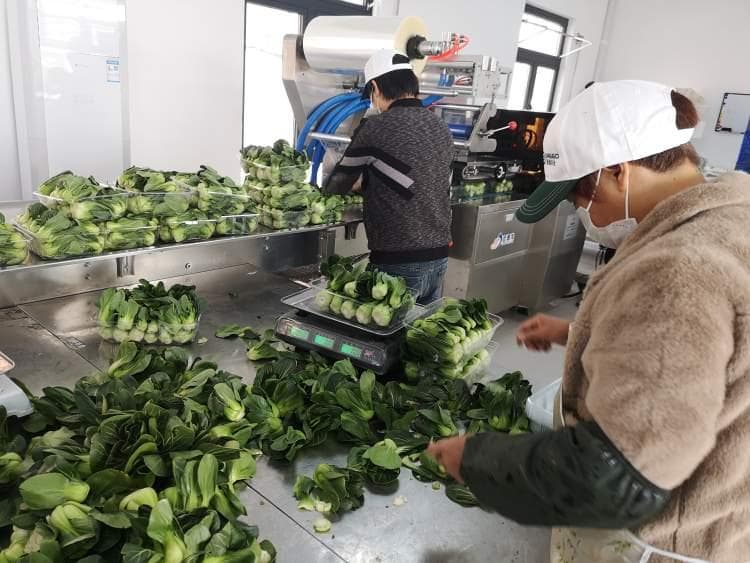 冰箱蔬果存放指南，保鲜秘诀与最佳存放位置全揭秘