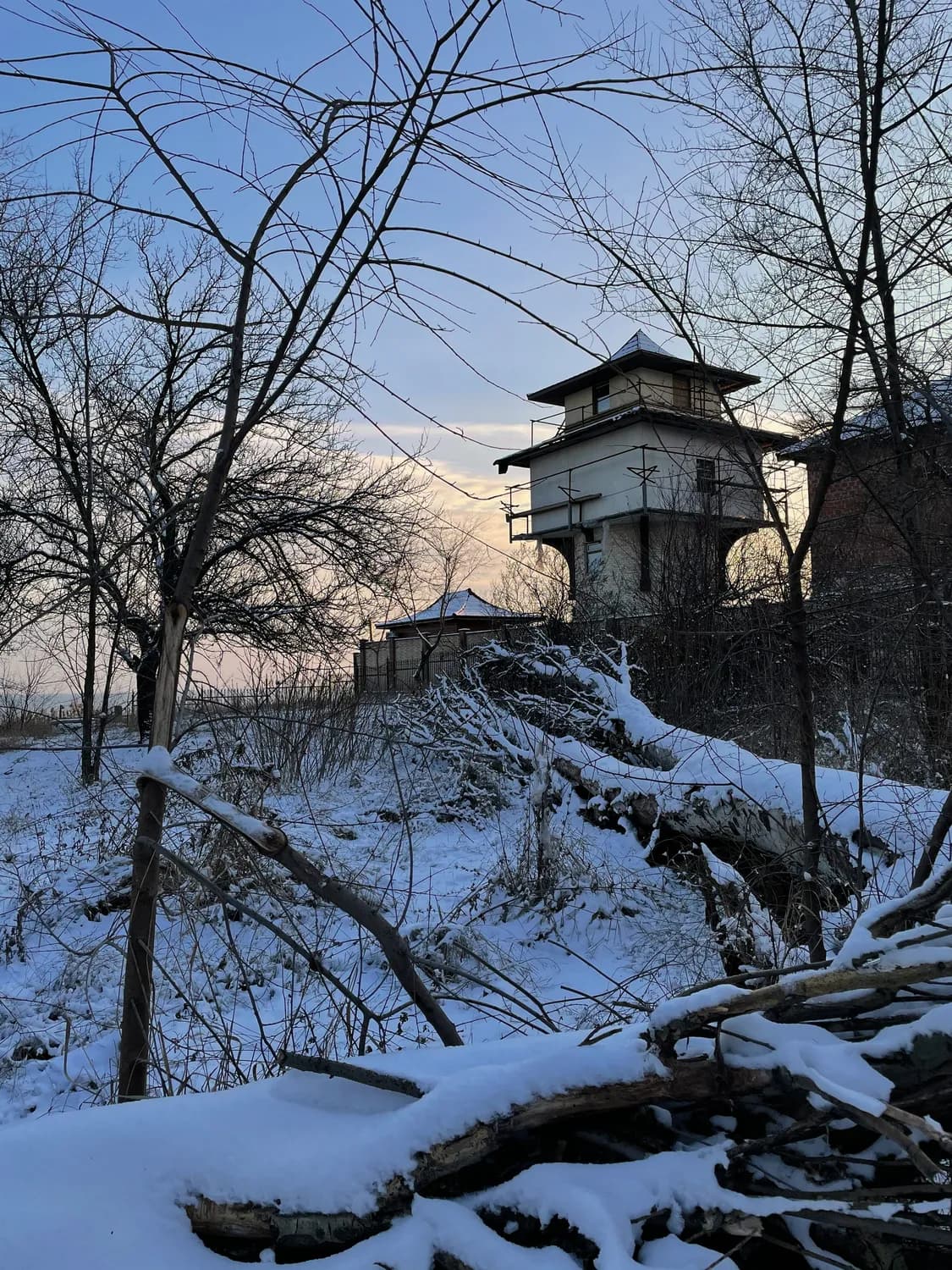 冬至将至：银装素裹的绝美雪景