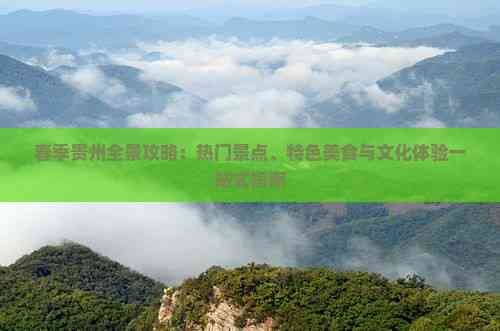 春季贵州全景攻略：热门景点、特色美食与文化体验一站式指南