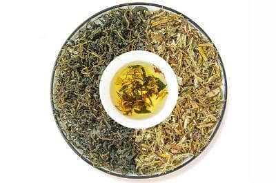 绞股蓝和翻白草的功效与作用 绞股蓝翻白草的三大功效