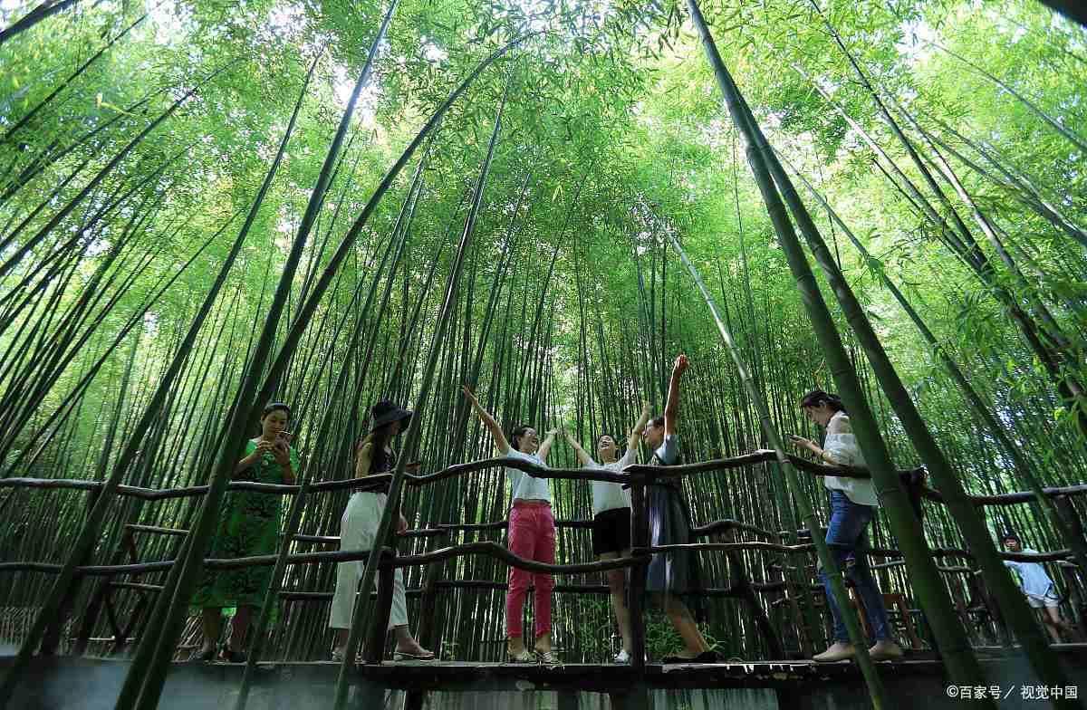 宜兴竹海一日游攻略