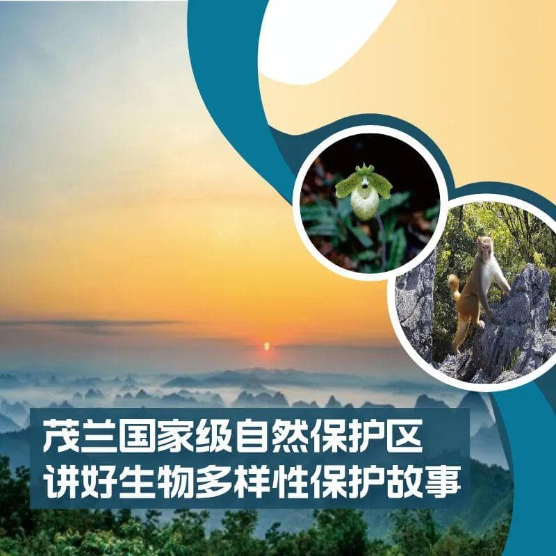 茂兰国家级自然保护区：讲好生物多样性保护故事