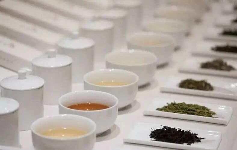 中国最香的六款茶：产地、等级与价格全攻略