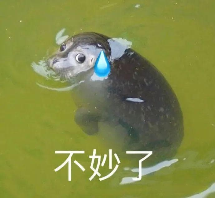 回南天+强对流！记得关好门窗！