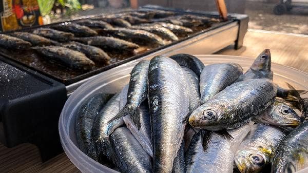 多宝鱼是海鱼还是人工养殖？一文读懂多宝鱼的来源与选购要点