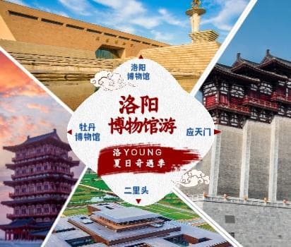 洛阳博物馆参观指南：镇馆之宝与特色活动全攻略