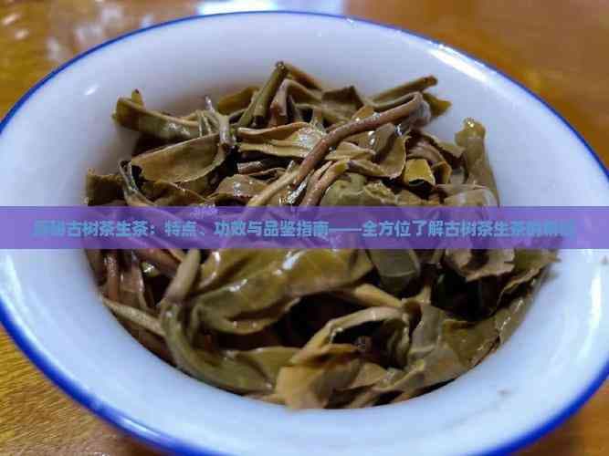 探秘古树茶生茶：特点、功效与品鉴指南