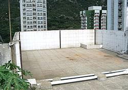 香港房屋渗水问题官方指南：从自查到联合办事处介入