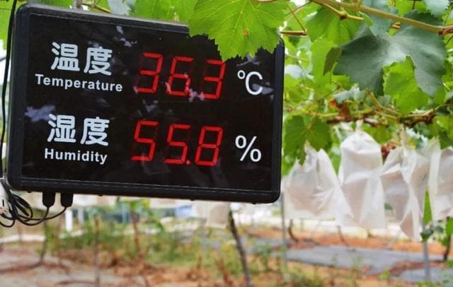 科学调控土壤温度，五大农业措施提升作物产量