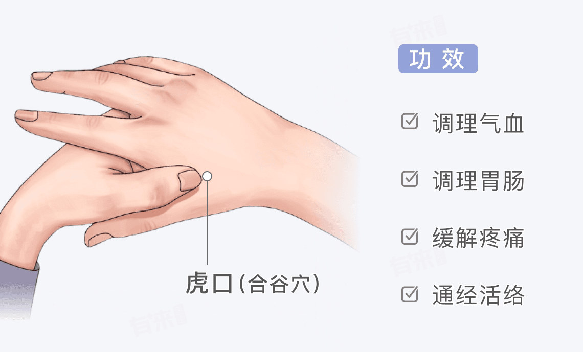 虎口的位置和功效