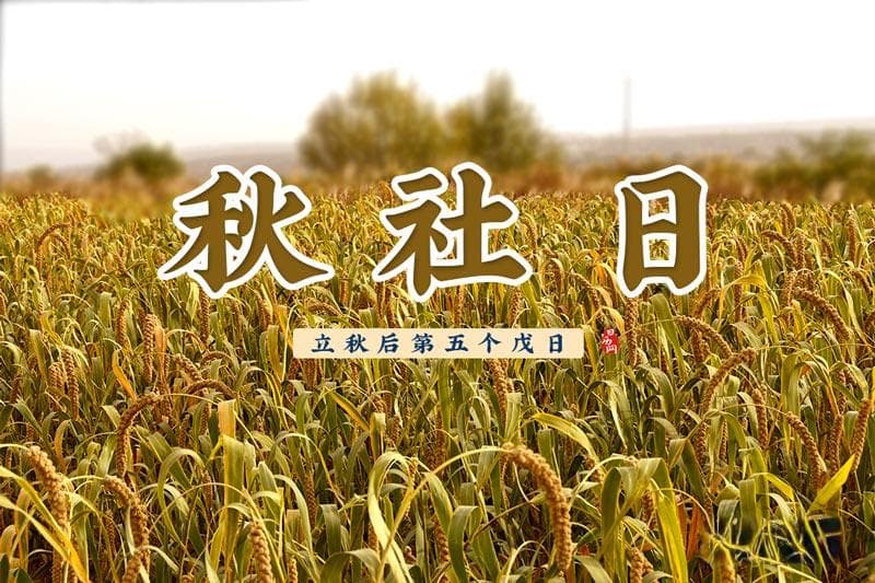 秋社日：立秋后第五个戊日的祭祀与欢庆