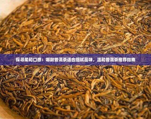 探寻柔和口感：哪款普洱茶适合细腻品味，温和普洱茶推荐指南
