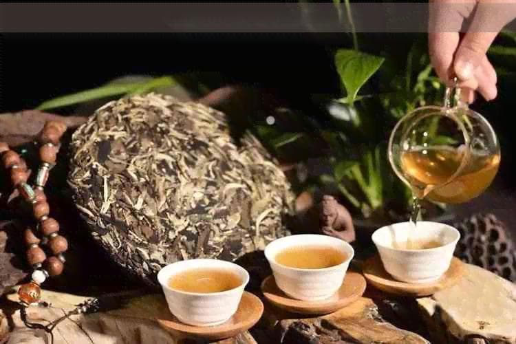 中风患者喝什么茶：营养丰富、健有效的茶推荐