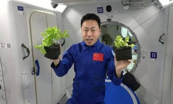 航天员如何在太空中自给自足？这些细菌可能帮得上忙