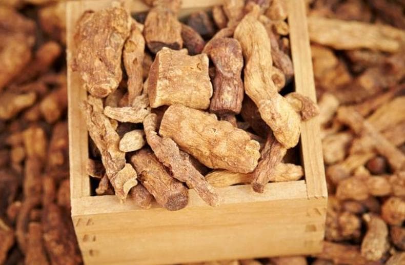 种植白术需要什么肥料？肥料选择与施用技巧详解