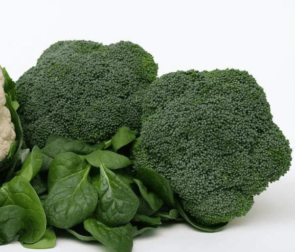 秋季养生指南，增强抵抗力的食物有哪些?