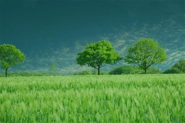 华盖星是什么意思，查法是什么