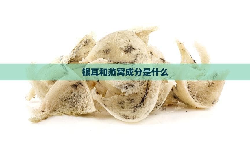 银耳和燕窝成分是什么