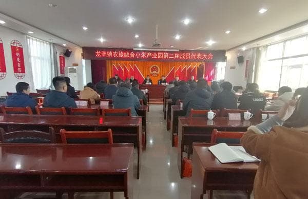 靖边县龙洲镇：产业分红助力农民增收 乡村振兴事业再上新台阶