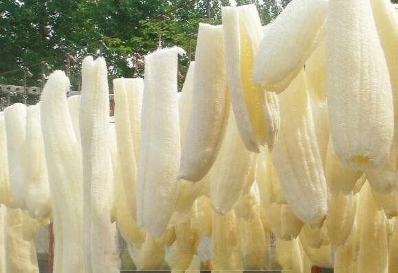 丝瓜络的功效与作用 丝瓜络的药用价值