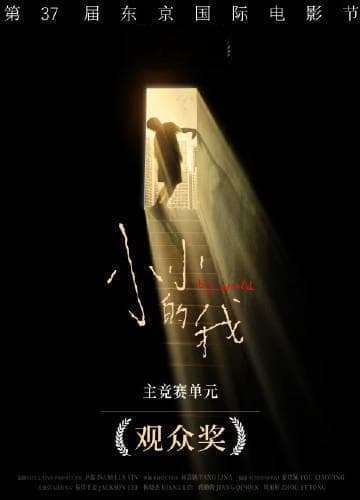观众选择奖重启：共鸣与思考之下，哪部影片最动人心弦？