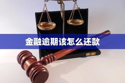 金融逾期该怎么还款