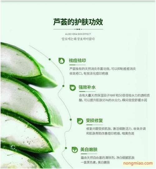 护肤哪个步骤用芦荟胶:芦荟胶在护肤品的那一步?