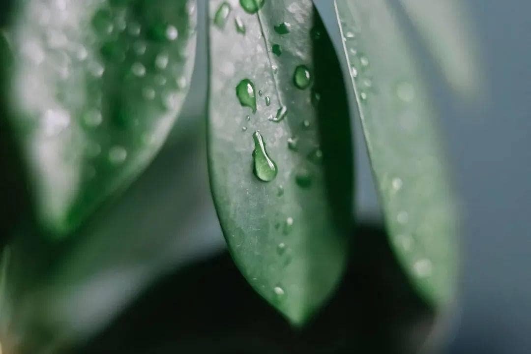 泡脚出汗是排出的湿气吗？杭州文仲中医医院教你正确泡脚！