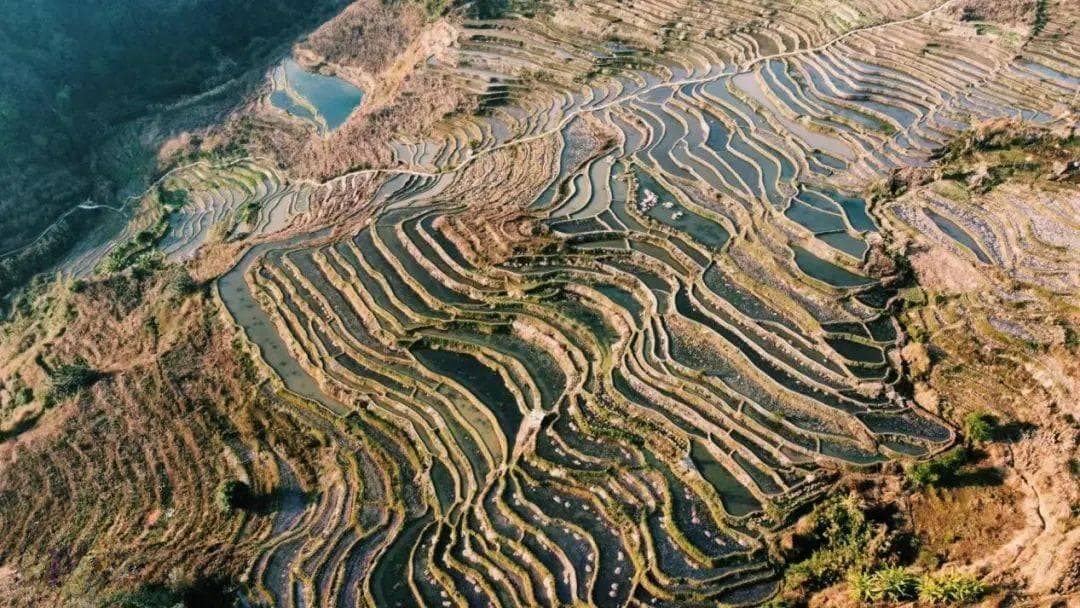 温润玉溪 旅居福地丨元江：行走云海梯田的倩影——“梯田人家 云上那诺”四时田园韵