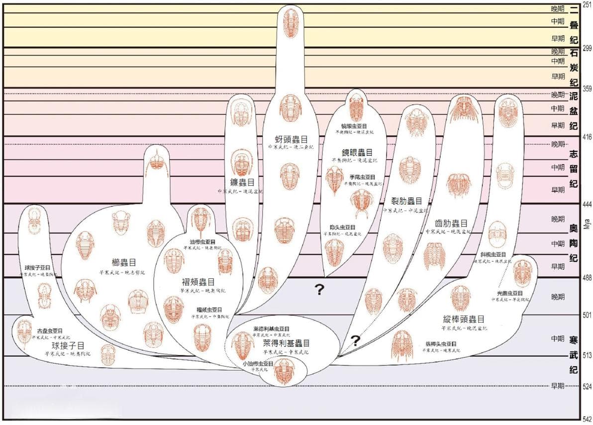 泥盆纪：一个见证生物大爆发与大灭绝的地质时期