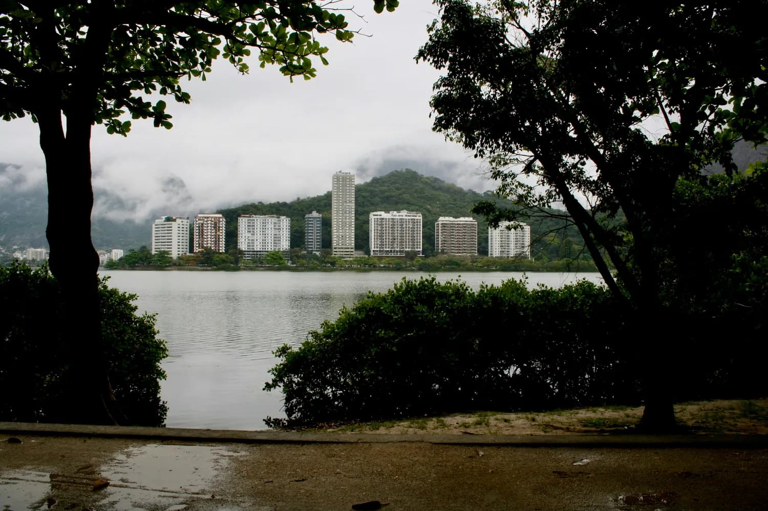 鹤湖书院：深圳文化的璀璨明珠