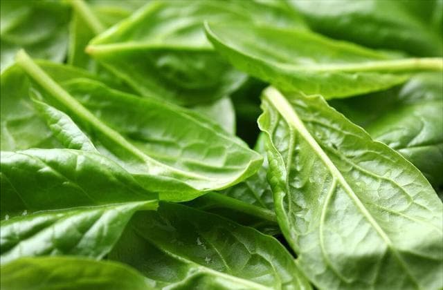 12 种天然的加强抵抗力的食物，你都认识吗？