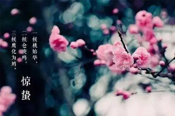 惊蛰至，春耕始：解读节气里的自然规律与人文智慧