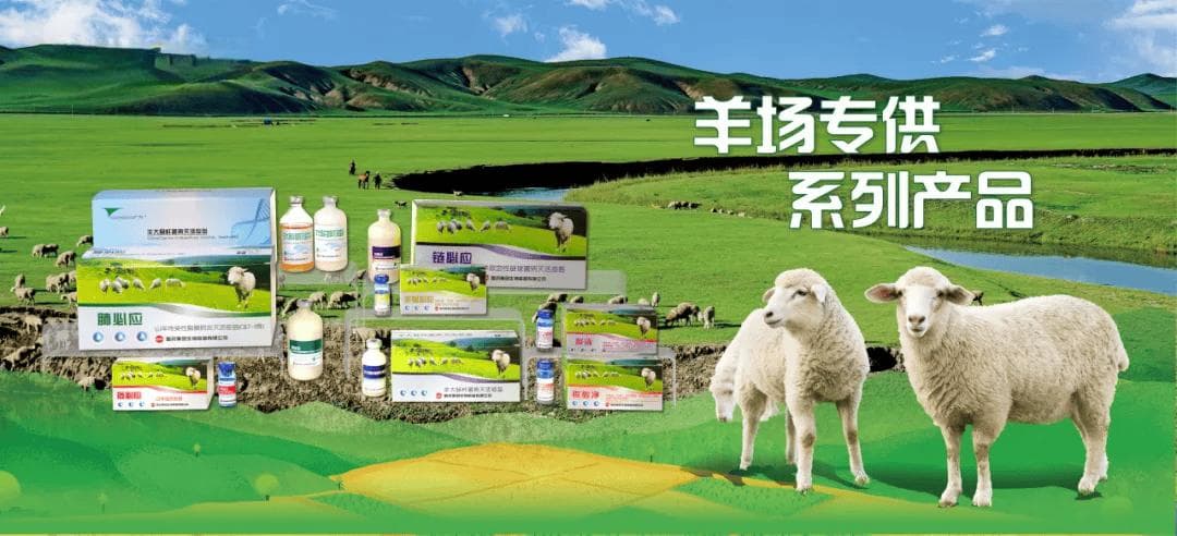 舍饲山羊疫病防控探讨