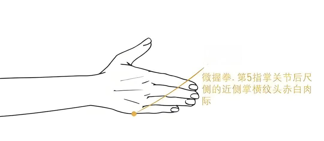杏林早报 | 颈肩僵硬、落枕困扰？按摩后溪穴，一招解忧！