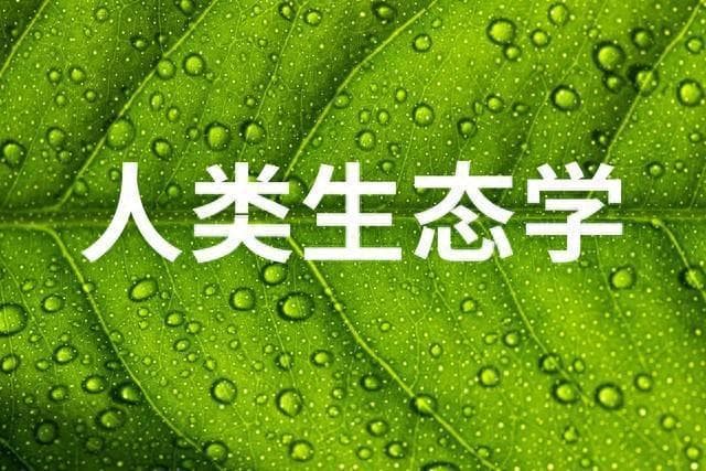 一定要好好享受充分的物质生活，奢侈不是罪过，是美德
