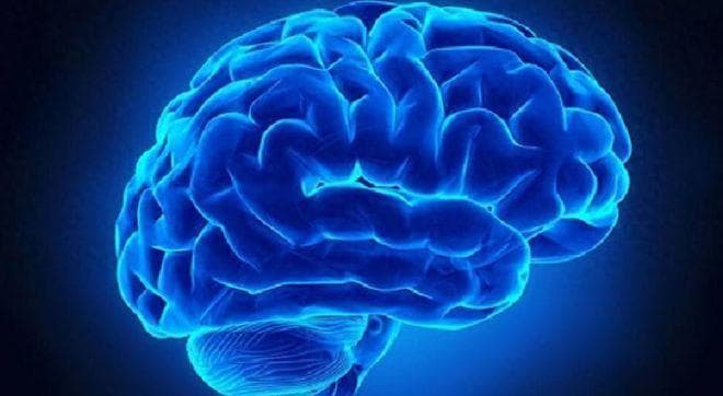 年纪大了害怕脑萎缩？医生提醒：不要担心，可以预防！